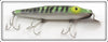 Vintage Creek Chub Mackerel Plastic Husky Pikie Lure 2320 P