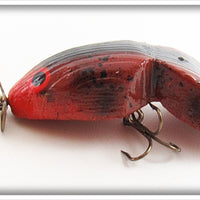 Bud Stewart Red & Black Crawdad