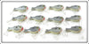 Arbogast Tru Shad Dealer Box With 12 Lures In Boxes