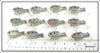 Arbogast Tru Shad Dealer Box With 12 Lures In Boxes