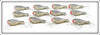 Arbogast Tru Shad Dealer Box With 12 Lures In Boxes