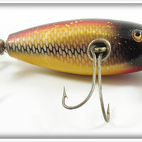 Vintage Creek Chub White Scale Baby Injured Minnow Lure 1625 