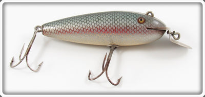 Vintage Creek Chub Redside Chub Early Wiggler Lure 100
