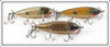 Creek Chub Silver Flash, Golden Shiner & Pikie Scale Injured Minnow