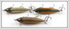 Creek Chub Silver Flash, Golden Shiner & Pikie Scale Injured Minnow Lot