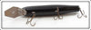 Ed Latiano Solid Black Giant Mustang
