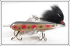 Ed Latiano Strawberry Musky Helgra Flying Hellgrammite Type