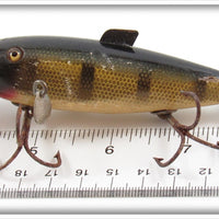 Creek Chub Perch Fintail Shiner 2101