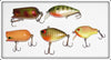 Collection Of 31 Gary Bowles Indiana Made Lures