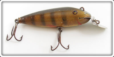 Vintage Creek Chub Perch Intro Wiggler Lure