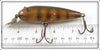 Creek Chub Perch Intro Wiggler