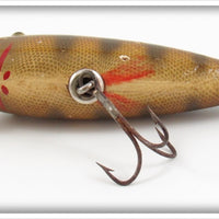 Creek Chub Perch Intro Wiggler