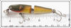 Creek Chub Golden Shiner Jointed Midget Pikie 4204