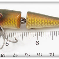 Creek Chub Golden Shiner Jointed Midget Pikie 4204