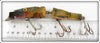 Creek Chub Perch Prototype Rubber Jointed Pikie