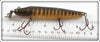 Creek Chub Pikie Scale Intro Pikie