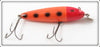 Dale Roberts Repainted Creek Chub Orange Spotted Husky Musky Lure