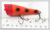 Dale Roberts Repainted Creek Chub Orange Spotted Plunker