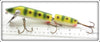 Ed Latiano Makinen Frog Spot Jointed Pikie
