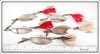 G.M. Skinner's Extra Large Mascalonge Baits In Box