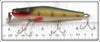 Creek Chub Perch Scale Surfster 7201