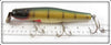 Creek Chub Perch Scale Salt Surfster 7401