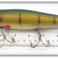 Creek Chub Perch Scale Salt Surfster 7401