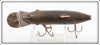 Creek Chub Perch Fintail Shiner 2101
