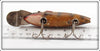 Creek Chub Perch Fintail Shiner 2101