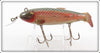 Creek Chub Red Side Fintail Shiner 2105
