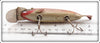 Creek Chub Red Side Fintail Shiner 2105