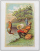 Merrick Thread Co Six Cord Spool Fishing Themed Advertising Card