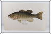 Heddon Fish Print Set Of Nine With Envelope