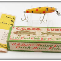 Creek Chub Yellow Spotted Midget Pikie In Box 2214 Special Lure