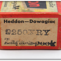 Heddon Yellow Shore Zara Spook Empty Box 2250XRY