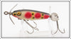 Barracuda Brand Strawberry Florida Pee Wee In Box Bottom