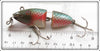 Creek Chub Redside Wiggle Wizard 4505