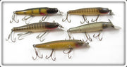 Creek Chub Perch, Pikie, Silver Shiner & Golden Shiner Pikie