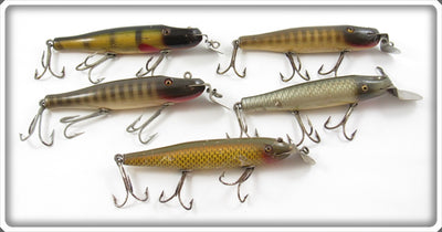 Creek Chub Perch, Pikie, Silver Shiner & Golden Shiner Pikie
