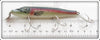 Creek Chub Rainbow Trout Plastic Pikie 700 RT