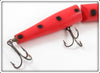 Creek Chub Orange Spotted Giant Jointed Pikie 830