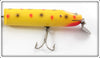 Creek Chub Yellow Spotted Giant Jointed Pikie 814 Special