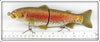 Castaic Soft Bait Inc Brown Rainbow Trout In Box