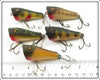 Creek Chub Perch, Pikie, Frog, & Golden Shiner Midget Plunker Lot Of Five