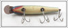 Creek Chub Blue Flash Glass Eye Pikie 734