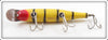 Creek Chub Tiger Stripe Husky Pikie 2339