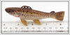 Carl Christiansen Cutthroat Trout Decoy In Box