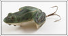 F.S. Burroughs Croaker Frog