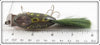 Creek Chub Frog Spot Dinger 5619