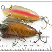 Creek Chub Rainbow & Golden Shiner River Rustler Pair